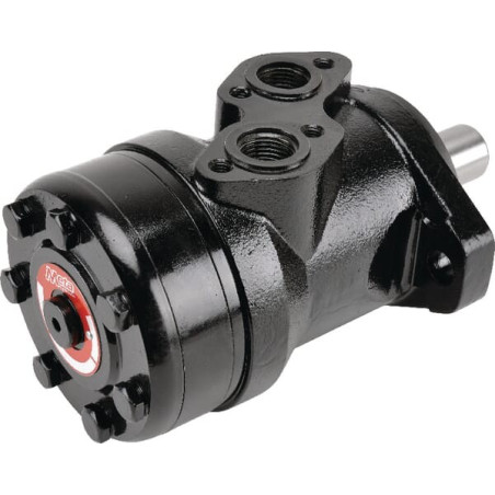Moteur BATTIONI PAGANI 5020400035