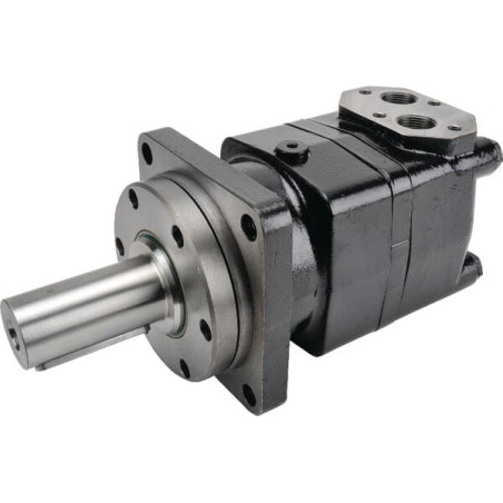 Moteur BATTIONI PAGANI 5020400036