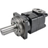 Moteur BATTIONI PAGANI 5020400036