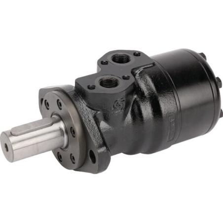 Moteur DANFOSS OMR2501513354