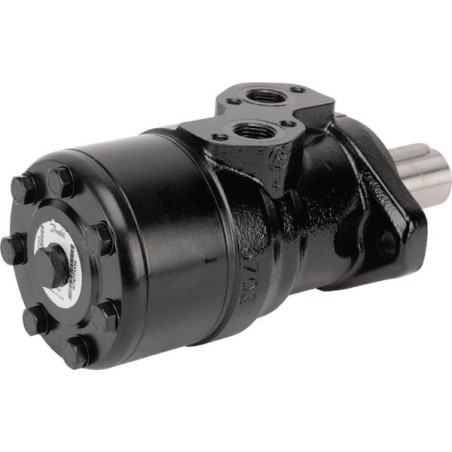Moteur DANFOSS OMR2501513354
