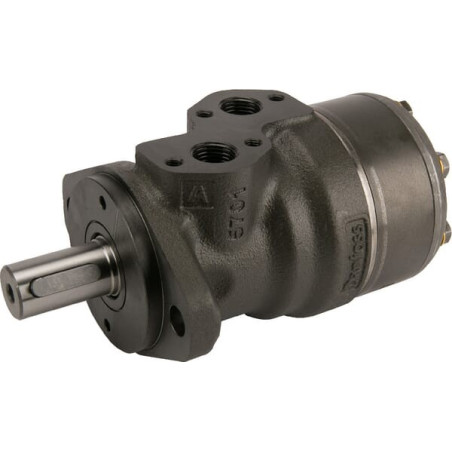 Moteur DANFOSS OMRX25011186667