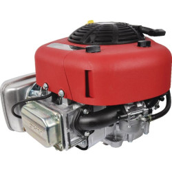 Moteur BRIGGS ET STRATTON 21R6020008H5