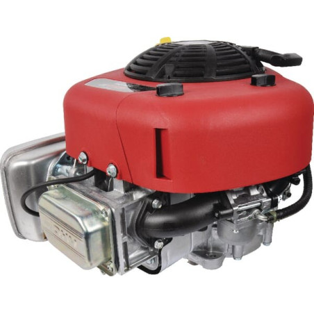 Moteur BRIGGS ET STRATTON 21R6020008H5