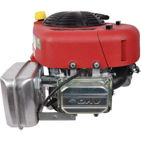 Moteur BRIGGS ET STRATTON 21R6020008H5