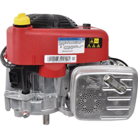 Moteur BRIGGS ET STRATTON 21R6020008H5