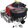 Moteur BRIGGS ET STRATTON 21R8770084B5
