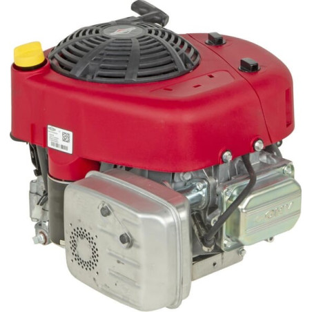 Moteur BRIGGS ET STRATTON 21R6070009H5