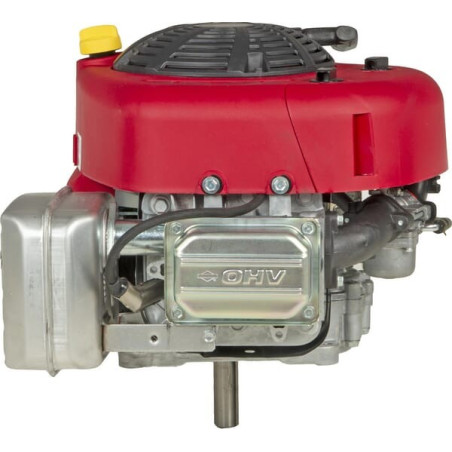 Moteur BRIGGS ET STRATTON 21R6070009H5