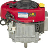 Moteur BRIGGS ET STRATTON 21R6070009H5