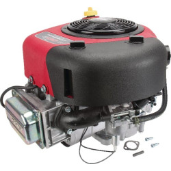 Moteur BRIGGS ET STRATTON 21R8070062B5