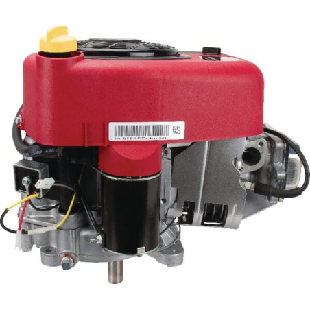 Moteur BRIGGS ET STRATTON 21R8070062B5