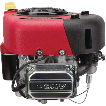 Moteur BRIGGS ET STRATTON 21R8070062B5
