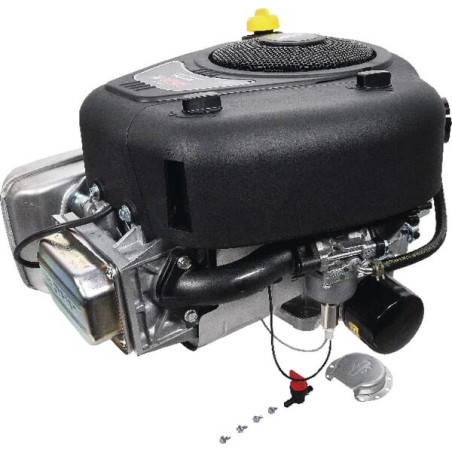Moteur BRIGGS ET STRATTON 31R5770014B5