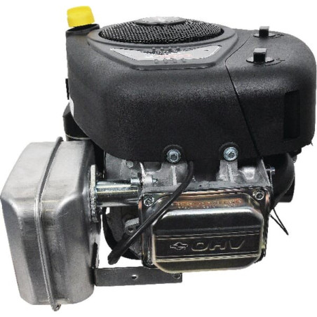 Moteur BRIGGS ET STRATTON 31R5770014B5