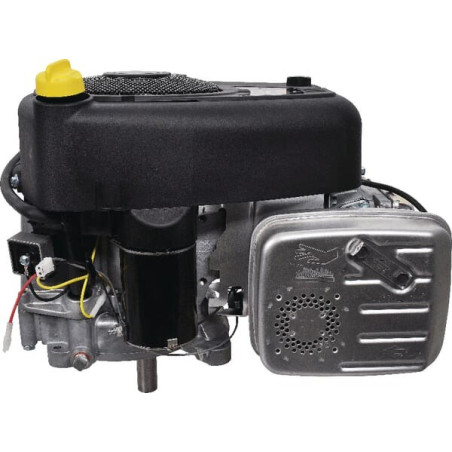Moteur BRIGGS ET STRATTON 31R5770014B5