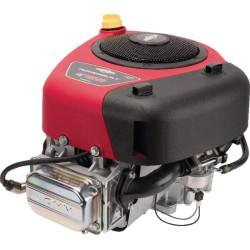 Moteur BRIGGS ET STRATTON 31R5070012B5