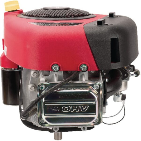Moteur BRIGGS ET STRATTON 31R5070012B5