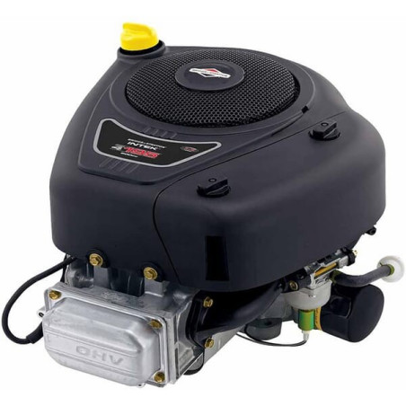Moteur BRIGGS ET STRATTON 31R5770033B5