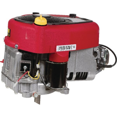 Moteur BRIGGS ET STRATTON 31R5070011B5