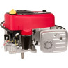 Moteur BRIGGS ET STRATTON 31R7770010B5