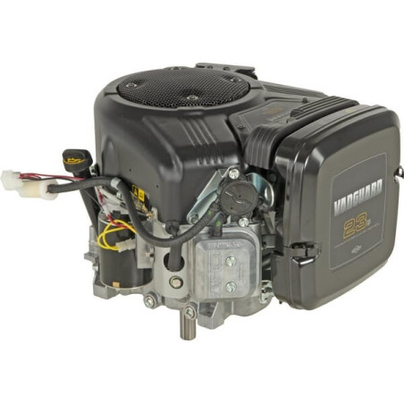 Moteur BRIGGS ET STRATTON 3867770147G1