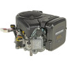 Moteur BRIGGS ET STRATTON 3867770147G1
