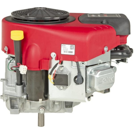 Moteur BRIGGS ET STRATTON 44N6770009B5