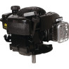 Moteur BRIGGS ET STRATTON 09P6020015H5