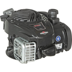 Moteur BRIGGS ET STRATTON 09P6020014H5