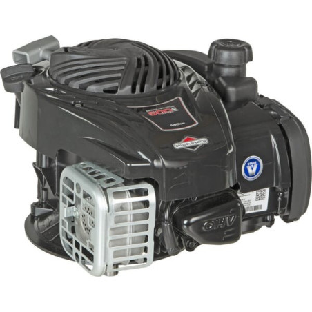 Moteur BRIGGS ET STRATTON 09P6020014H5