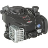 Moteur BRIGGS ET STRATTON 09P6020014H5
