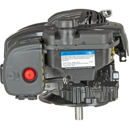 Moteur BRIGGS ET STRATTON 09P6020014H5