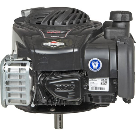 Moteur BRIGGS ET STRATTON 09P6020014H5