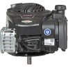 Moteur BRIGGS ET STRATTON 09P6020014H5