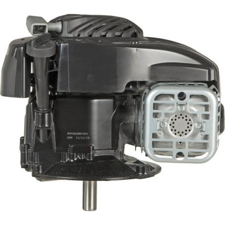 Moteur BRIGGS ET STRATTON 09P6020014H5