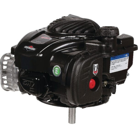 Moteur BRIGGS ET STRATTON 09P6020036H5