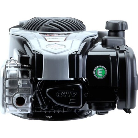Moteur BRIGGS ET STRATTON 09P7020061H1