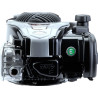 Moteur BRIGGS ET STRATTON 09P7020061H1