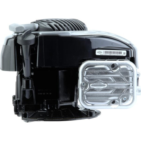 Moteur BRIGGS ET STRATTON 09P7020061H1