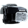 Moteur BRIGGS ET STRATTON 09P7020061H1