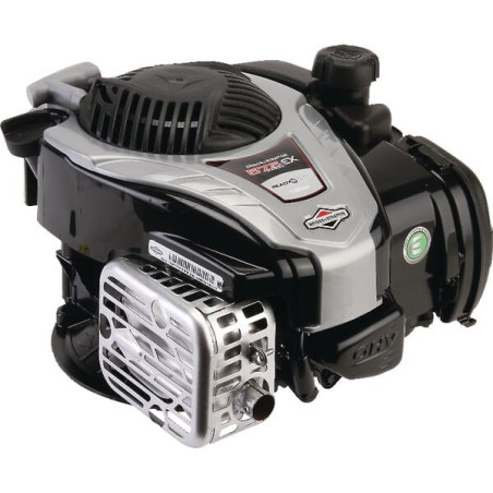 Moteur BRIGGS ET STRATTON 09P7020060H5