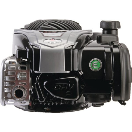 Moteur BRIGGS ET STRATTON 09P7020060H5