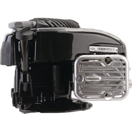 Moteur BRIGGS ET STRATTON 09P7020060H5