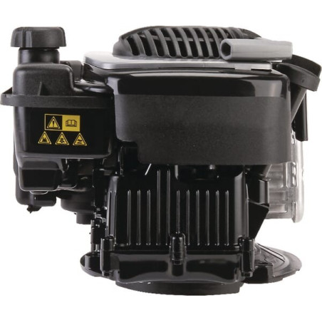 Moteur BRIGGS ET STRATTON 09P7020060H5