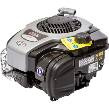 Moteur BRIGGS ET STRATTON 093J020069H5