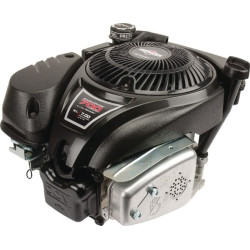 Moteur BRIGGS ET STRATTON 1006025025H5