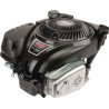 Moteur BRIGGS ET STRATTON 1006025025H5