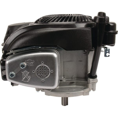 Moteur BRIGGS ET STRATTON 1006025025H5