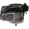 Moteur BRIGGS ET STRATTON 1006025025H5